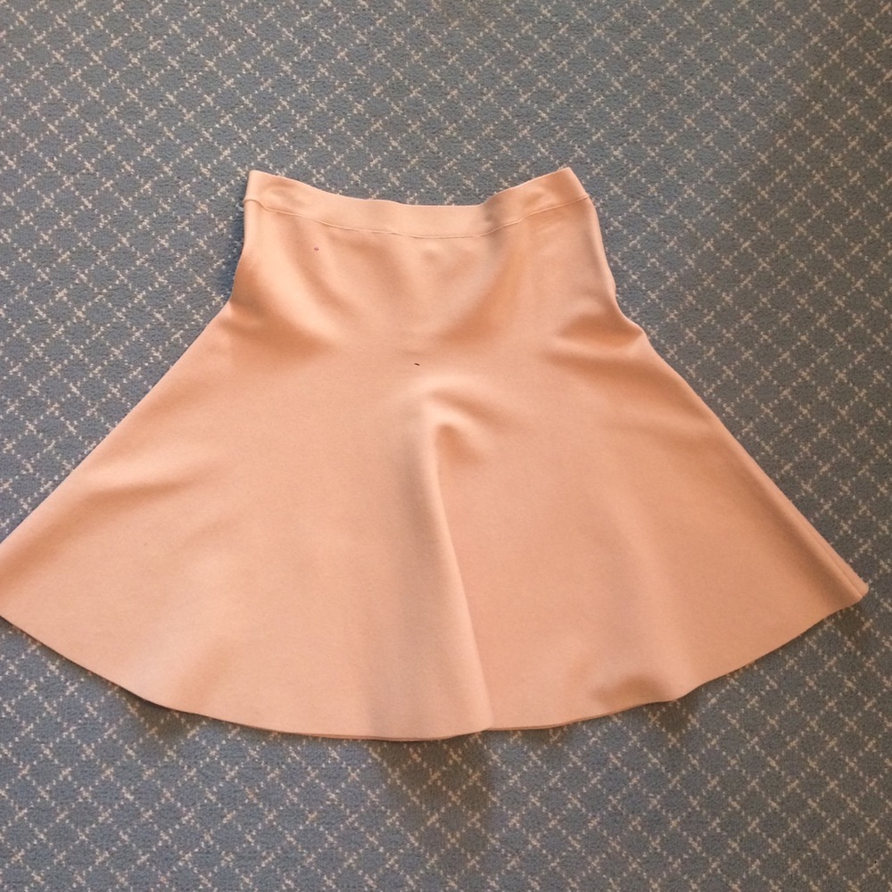 NEW Bcbg Ingrid a line skirt